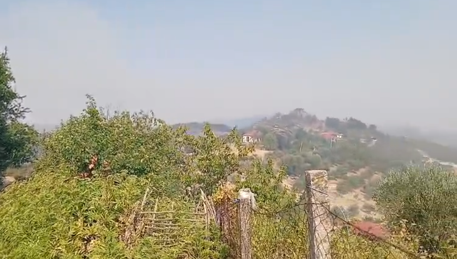 Zjarri në Mallakastër del jashtë kontrollit  flakët rrezikojnë masivin pyjor të Lofkëndit