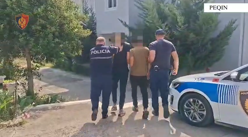 Vidhnin banesa  biznese dhe automjete në Peqin dhe Elbasan  arrestohen dy persona në Elbasan
