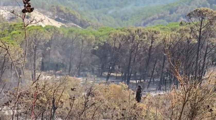 merr-fund-beteja-me-flaket-nuk-ka-me-vatra-aktive-zjarri-ne-drenie-dhe-vlosh