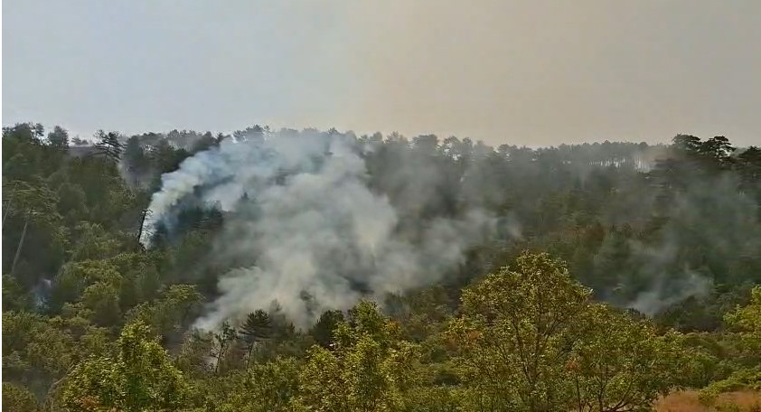 Përkeqësohet zjarri në Shkopet  rrezikohen të digjen 250 krerë lopë  kërkohet ndihmë për evakuimin e barinjve