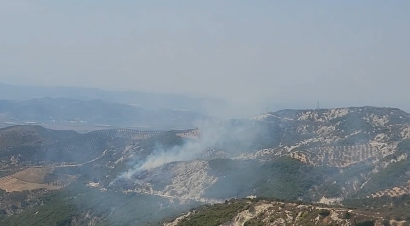 Zjarr pranë puseve të naftës në Drenovë  ndërhyrja e zjarrfikësve neutralizon flakët
