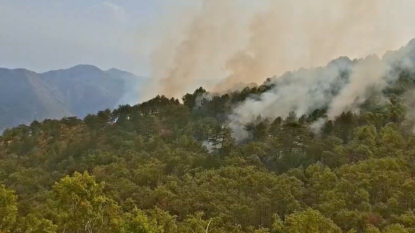 Përkeqësohet më shumë situata nga zjarri  flakët rrethojnë edhe dy banesa
