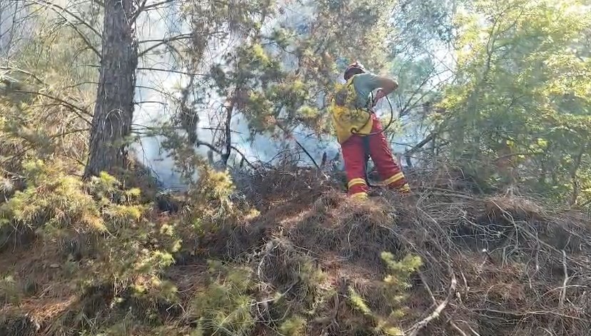 Mallakastër  Përparon zjarri  forcat e ushtrisë së Vlorës dhe Beratit ndihmojnë për shuarjen e flakëve