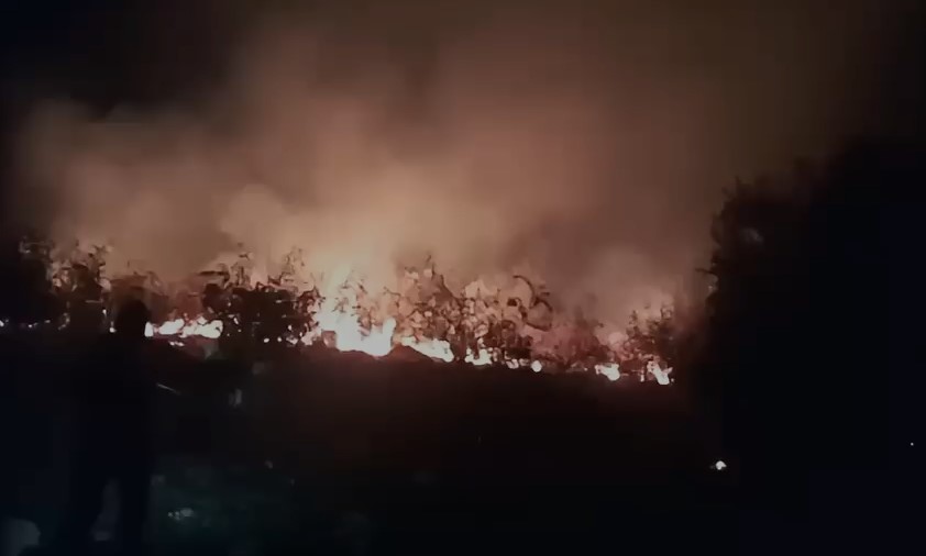 Zjarret  Disa vatra ende aktive në qarkun e Shkodrës