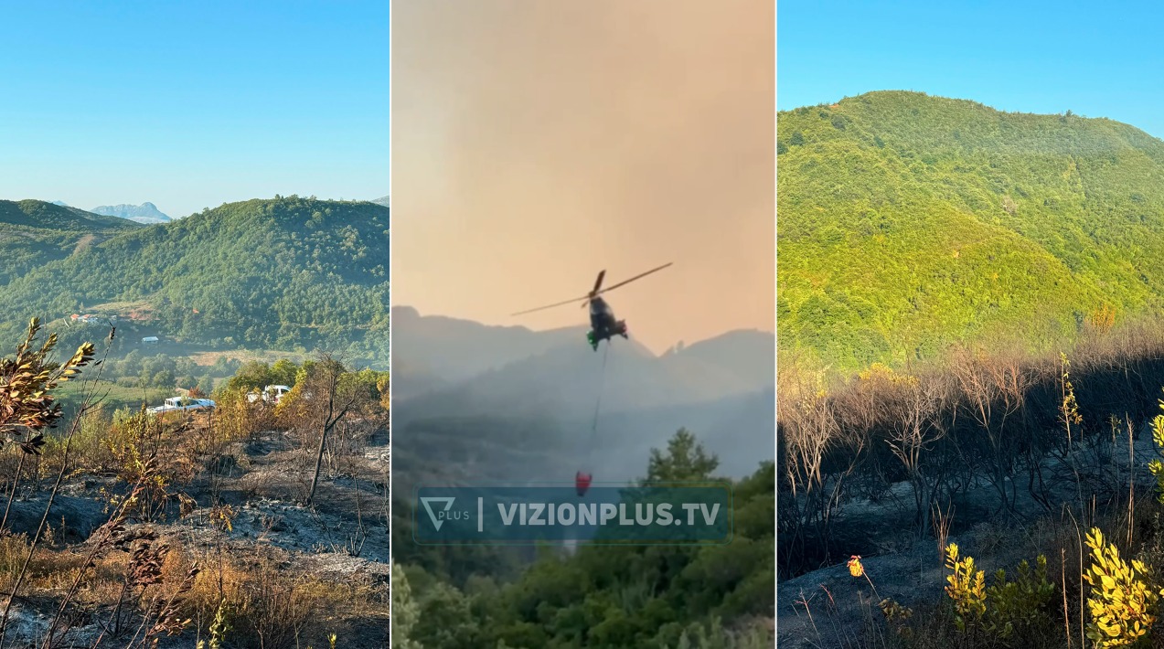 Helikopteri ndërhyn 25 herë  shpëtohen banesat nga zjarri në Postribë