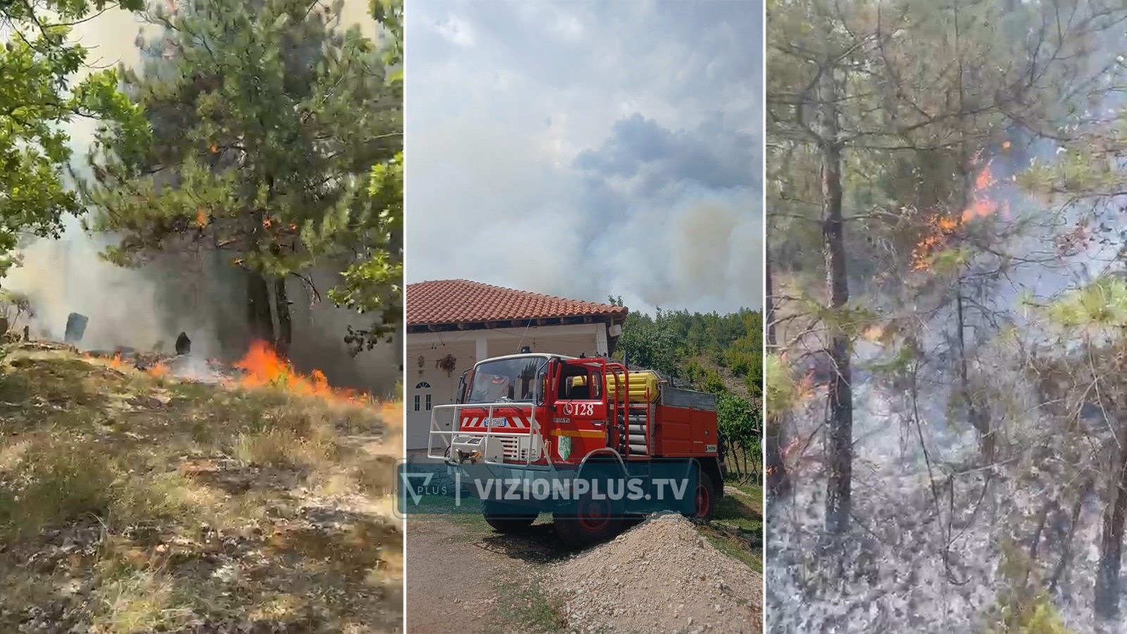 Zjarr në Elbasan  digjet një sipërfaqe e konsiderueshme masivi pyjor  flakët po avancojnë drejt banesave