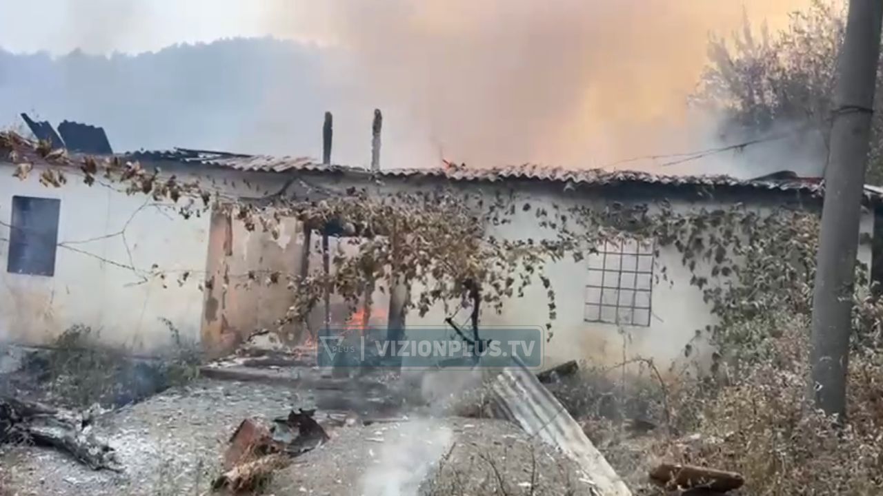 Gojan i Madh  Flakët dalin jashtë kontrollit  shkrumbohen 3 banesa  nis evakuimi i banorëve  VIDEO 