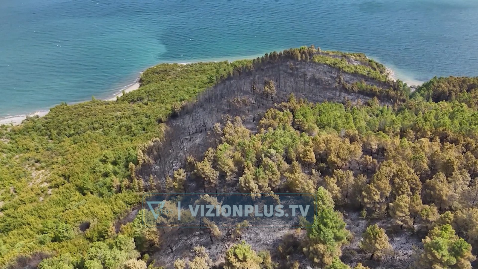 Pylli kërkon 100 vjet të  rilindë   specialistët  Zjarri  vret  tokën  bimësinë dhe pemët