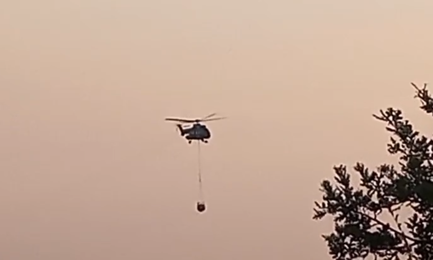 Zjarr në Zhejë të Kurbinit  flakët përparojnë në zonat me ullishte