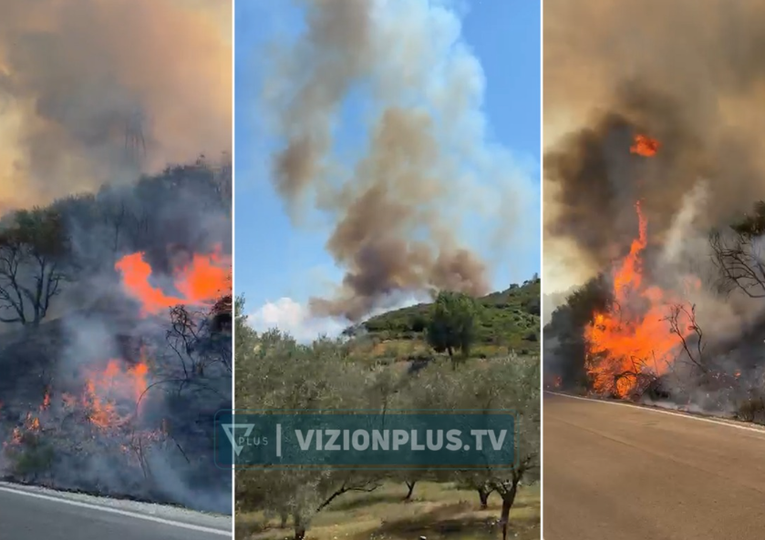 Zjarr i përmasave të mëdha në Hekal  10 hektarë nën  pushtetin  e flakëve