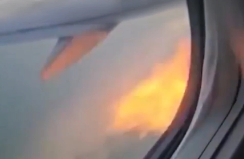 motori-i-avionit-merr-flake-pas-perplasjes-me-nje-zog-boeing-737-ben-ulje-emergjente-video