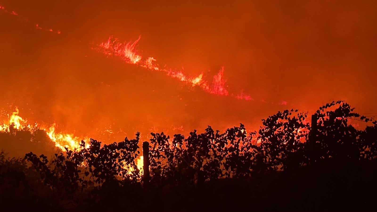 Situatë alarmante në Priskë  Zjarri përhapet me shpejtësi  shkrumbohen dy objekte të pabanuara
