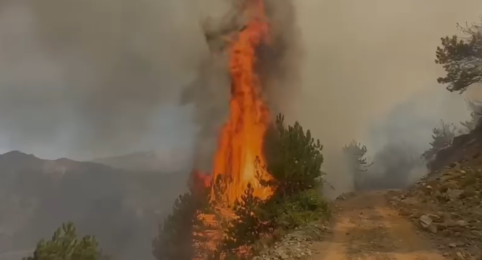 Forcat e Armatosura vijojnë luftën me zjarret  si paraqitet situata në Dajt dhe Pukë