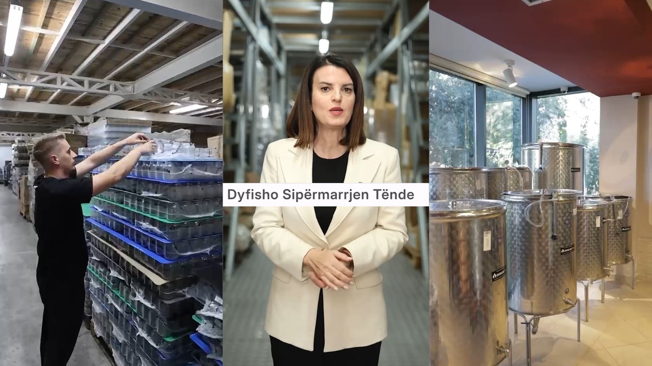 Zëvendëskryeministrja Koçiu   Dyfisho sipërmarrjen tënde  mbështet bizneset që duan të investojnë dhe të rriten