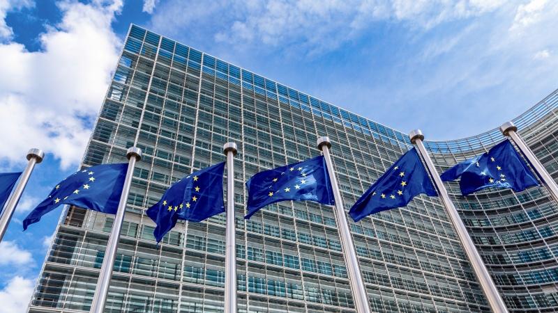 Reforma territoriale  Komisioni Europian për Vizion Plus  S është kusht për anëtarësimin në BE  duhet proces gjithëpërfshirës