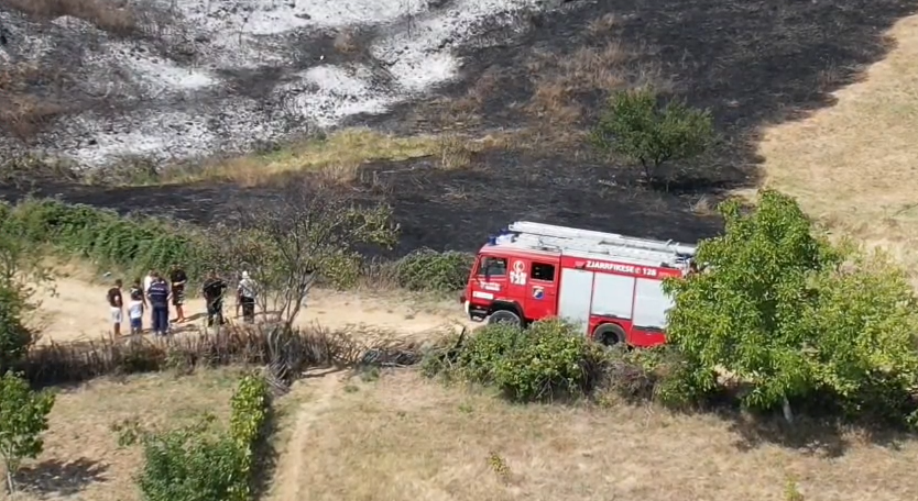 Zjarr i përmasave të mëdha në Udënisht të Pogradecit  digjen mbi 2 hektarë kullotë