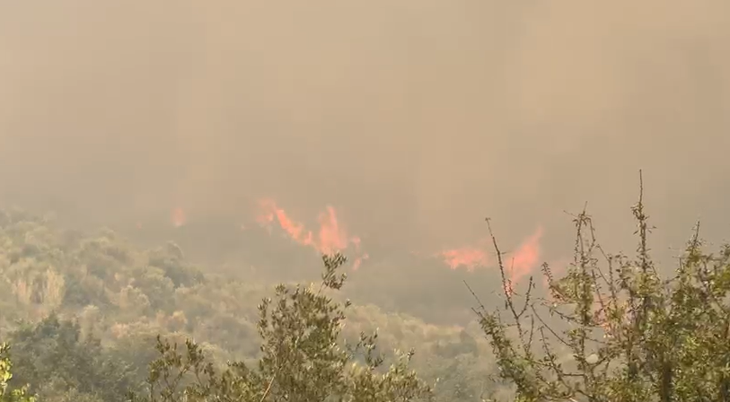 Situatë dramatike nga zjarri në kodrat e Radostinës  kërkohet ndërhyrje nga ajri