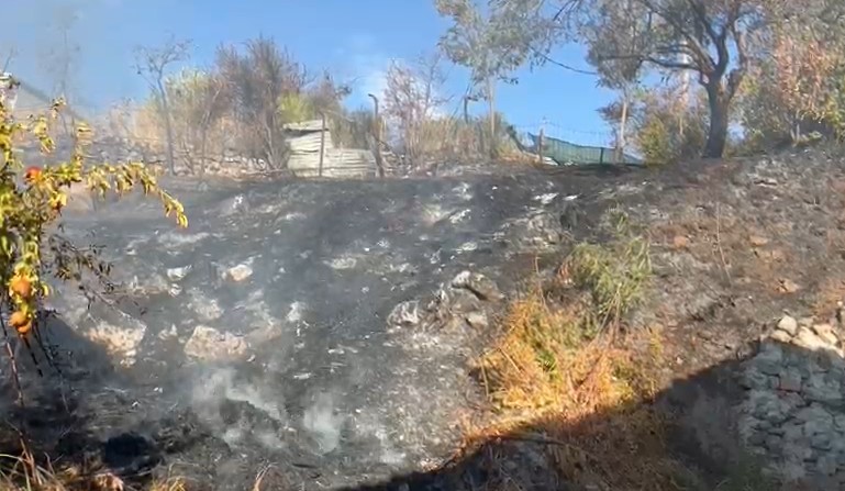 Zjarr në Lezhë  flakët pranë banesave  zjarrfikësit hasin vështirësi për shkak të rrugës