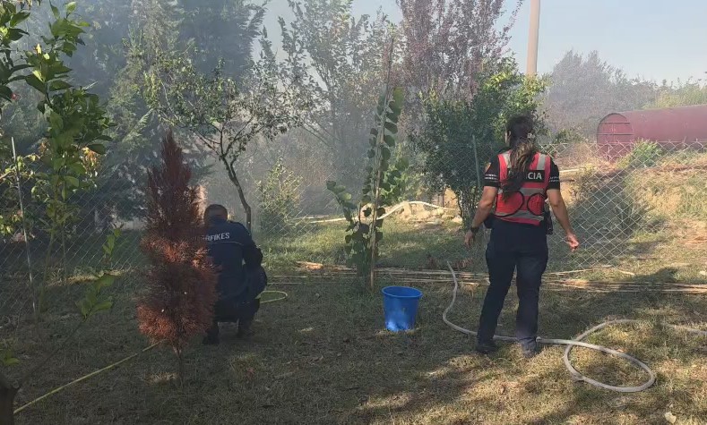 Përparojnë flakët në Vlorë  zjarri përfshin disa banesa  20 zjarrfikës në terren për të vënë nën kontroll situatën