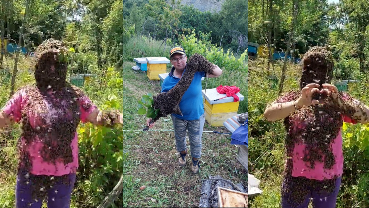 Kush është  gruaja e bletëve   që u arrestua bashkë me bashkëshortin për kultivim droge