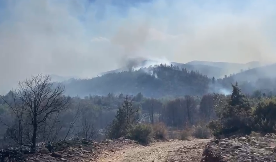 Përshkallëzohet situata e zjarreve në Kalivac të Lezhës  raportohet për djegie banesash