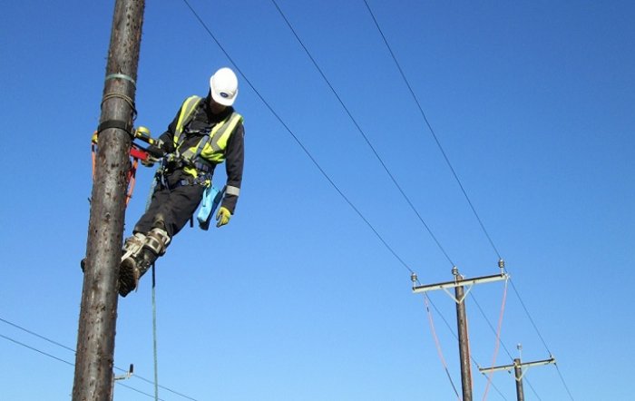 Katër punonjës të bashkisë i zuri korrenti  njëri humbi jetën  ndalohen drejtori dhe drejtuesi teknik në Tropojë