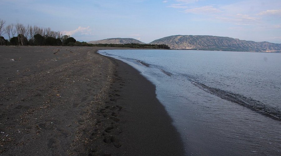 Dyshohet se pësoi infarkt në ujë  humb jetën 70 vjeçari në plazhin e Velipojës  EMRI 