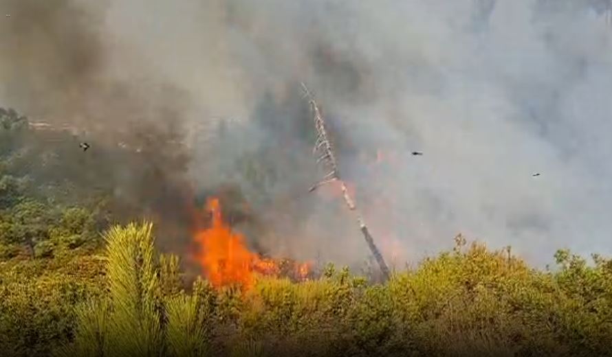 Zjarret nuk ndalen në Shkodër  disa vatra vijojnë aktive  era favorizon përhapjen e flakëve