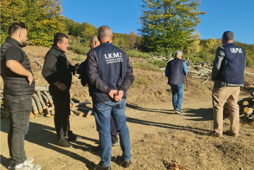 Prerje dhe transport i paligjshëm i druve në Kukës dhe Dibër  IKMT bllokon 5 m³ lëndë drusore