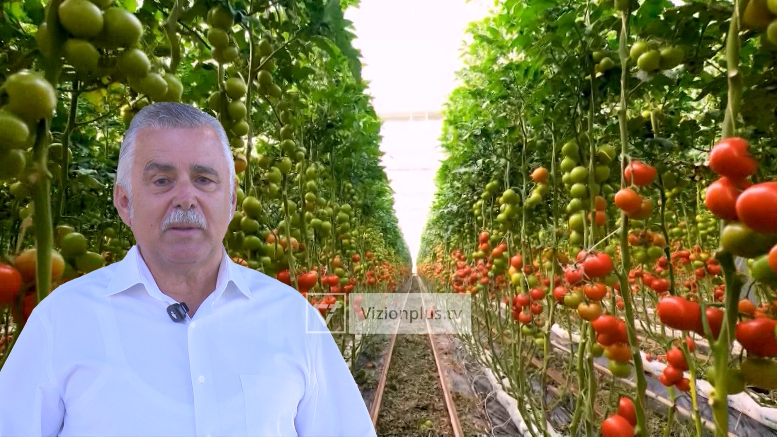 Të huajt braktisin bujqësinë  në tre mujorin e dytë të vitit investimet në këtë sektor pësuan rënie