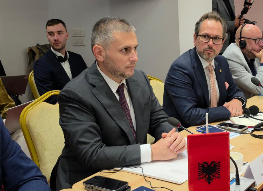Hita në tryezën për Task Forcën e Përbashkët kundër Migracionit të Parregullt  Policia shqiptare do të vijojë të japë më të mirën